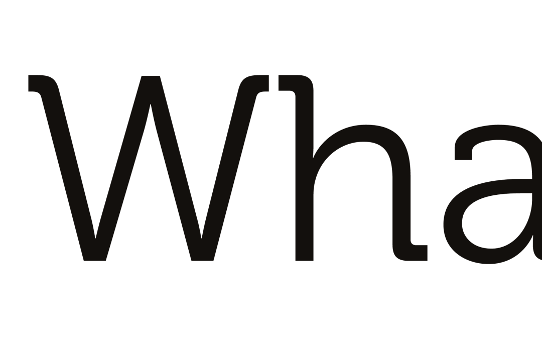 Whaller, la start-up française qui défend la protection des données personnelles