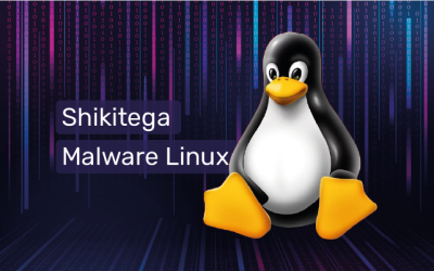 Shikitega, le code malveillant furtif qui cible les systèmes Linux