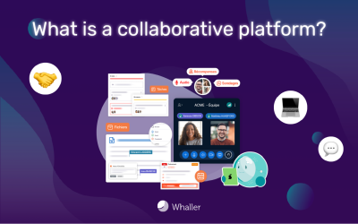 What is a collaborative platform?