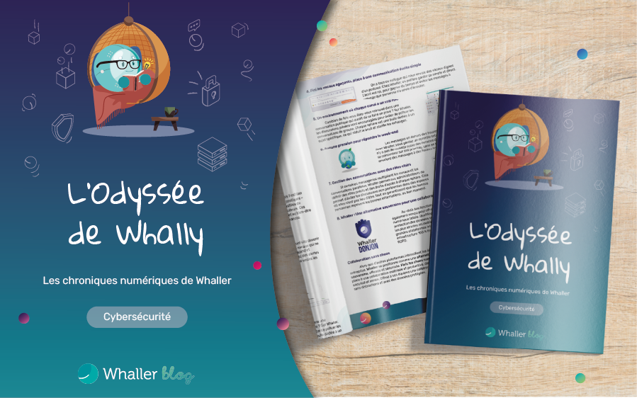 OdyssÃ©e de Whally - CybersÃ©curitÃ©