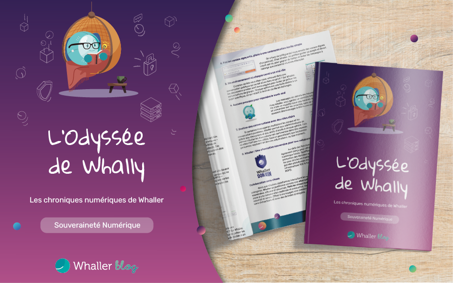 OdyssÃ©e de Whally - SouverainetÃ© NumÃ©rique