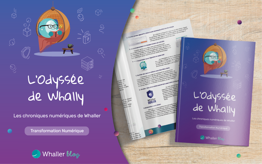OdyssÃ©e de Whally - Transformation NumÃ©rique