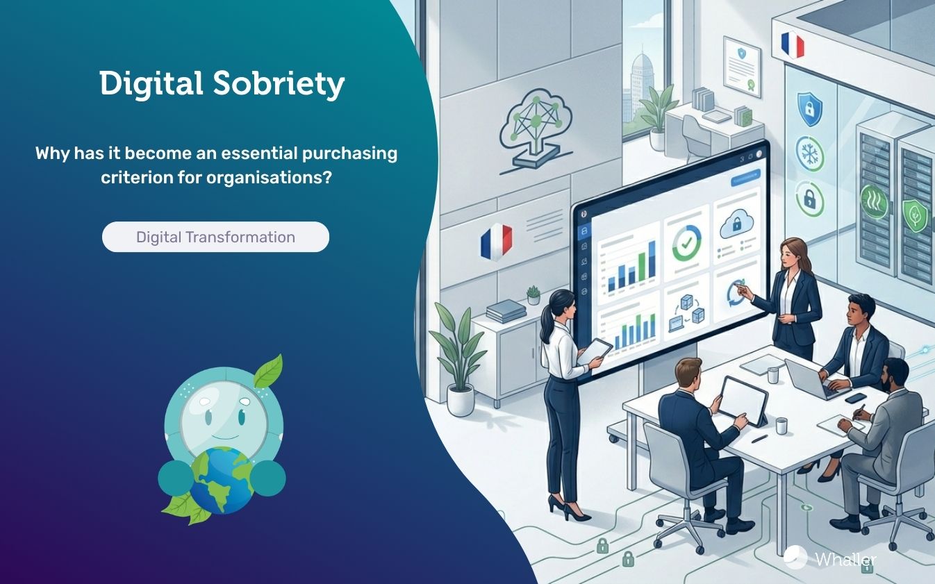digital sobriety