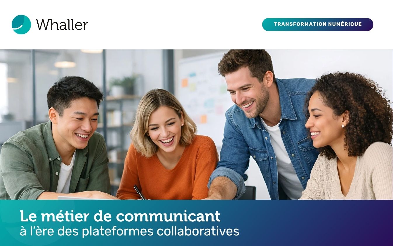 métier communication whaller